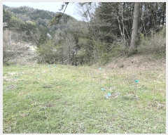  2025Ÿ��32556 ���� ȭ���� �̾�� �ʹ渮 873      ����(��)���