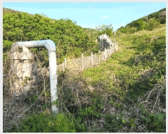  2025Ÿ��32624 ���� ��籺 ����� �е��� 707      ����(����)���