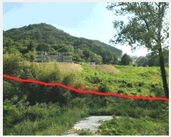  2025Ÿ��32624 ���� ��籺 ����� �е��� 707      ����(����)���