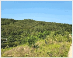  2025Ÿ��32624 ���� ��籺 ����� �е��� 707      ����(����)���