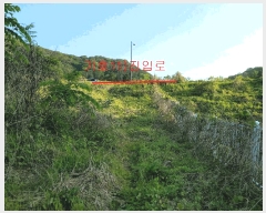  2025Ÿ��32624 ���� ��籺 ����� �е��� 707      ����(����)���