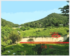  2025Ÿ��32624 ���� ��籺 ����� �е��� 707      ����(����)���