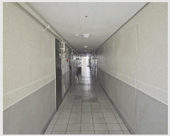  2025Ÿ��32662  ��������Ȱ���ð��