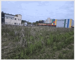  2025Ÿ��32712  ����