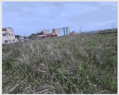  2025Ÿ��32712  ����