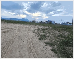  2025Ÿ��32712  ����