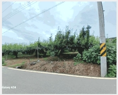  2025Ÿ��32940 ���� ���ֽ� ��Ȳ�� ������ 627      ����(������)���