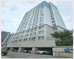  2025Ÿ��33037  ����Ʈ���