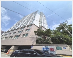  2025Ÿ��33037  ����Ʈ���