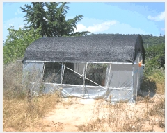  2025Ÿ��33108 ���� ������ ������ ���ϸ� 96-4      ����(����)���