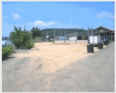  2025Ÿ��33108 ���� ������ ������ ���ϸ� 96-4      ����(����)���