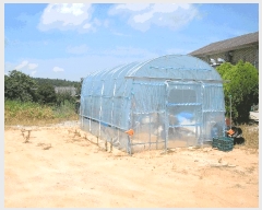  2025Ÿ��33108 ���� ������ ������ ���ϸ� 96-4      ����(����)���