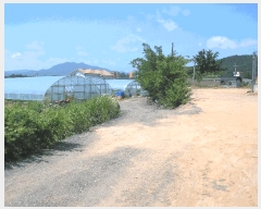  2025Ÿ��33108 ���� ������ ������ ���ϸ� 96-4      ����(����)���