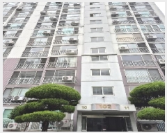  2025Ÿ��33183  ����Ʈ���