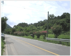  2025Ÿ��33322  �����