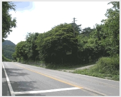  2025Ÿ��33322  �����