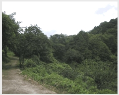  2025Ÿ��33322  �����