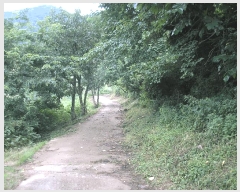  2025Ÿ��33322  �����