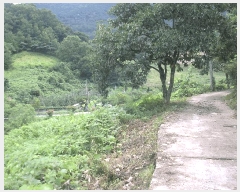  2025Ÿ��33322  �����