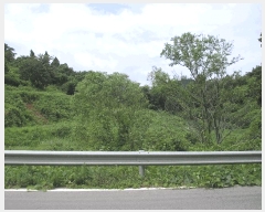  2025Ÿ��33322  �����