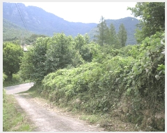  2025Ÿ��33322  �����