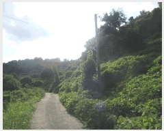  2025Ÿ��33424  �Ӿ߰��