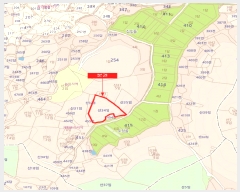  2025Ÿ��33424  �Ӿ߰��