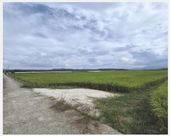  2025Ÿ��33618 ���� ��籺 ����� ������ 809-25      ����(��)���