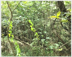  2025Ÿ��33632  �Ӿ߰��