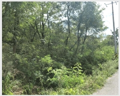  2025Ÿ��33632  �Ӿ߰��