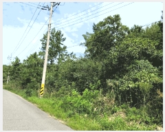  2025Ÿ��33632  �Ӿ߰��