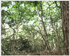  2025Ÿ��33632  �Ӿ߰��