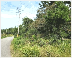  2025Ÿ��33632  �Ӿ߰��