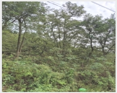  2025Ÿ��33632  �Ӿ߰��