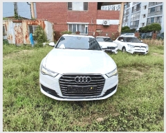  2025Ÿ��33780 ���� �ϱ� ��ġ�� 337-6(�۷ι�������)       �������