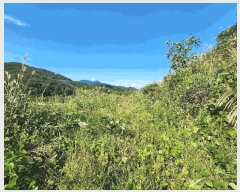  2025Ÿ��33884 ���� ȭ���� ���� ���ϸ� 459-4      ����(������)���