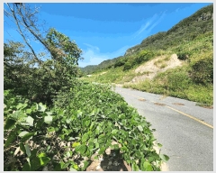  2025Ÿ��33884 ���� ȭ���� ���� ���ϸ� 459-4      ����(������)���