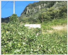  2025Ÿ��33884 ���� ȭ���� ���� ���ϸ� 459-4      ����(������)���