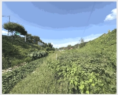  2025Ÿ��33897  ����