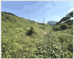  2025Ÿ��33897  ����