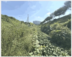  2025Ÿ��33897  ����