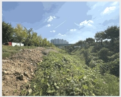  2025Ÿ��33897  ����