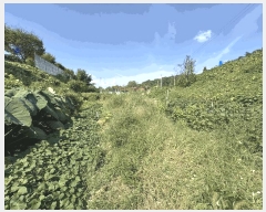  2025Ÿ��33897  ����