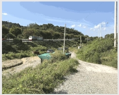  2025Ÿ��33897  ����