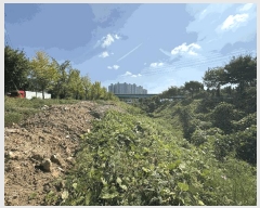  2025Ÿ��33897  ����