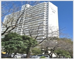  2025Ÿ��34114 ���� ���걸 ��� 771-1 ��ְ�4��������Ʈ 401�� 11��1103ȣ    ����Ʈ���