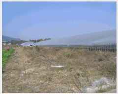  2025Ÿ��34150 ���� ���ֽ� ��ȸ� ������ 48-11      ����(��)���