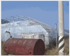  2025Ÿ��34150 ���� ���ֽ� ��ȸ� ������ 48-11      ����(��)���