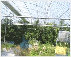  2025Ÿ��34150 ���� ���ֽ� ��ȸ� ������ 48-11      ����(��)���