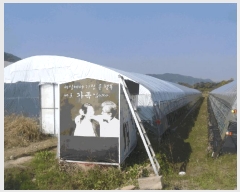  2025Ÿ��34150 ���� ���ֽ� ��ȸ� ������ 48-11      ����(��)���